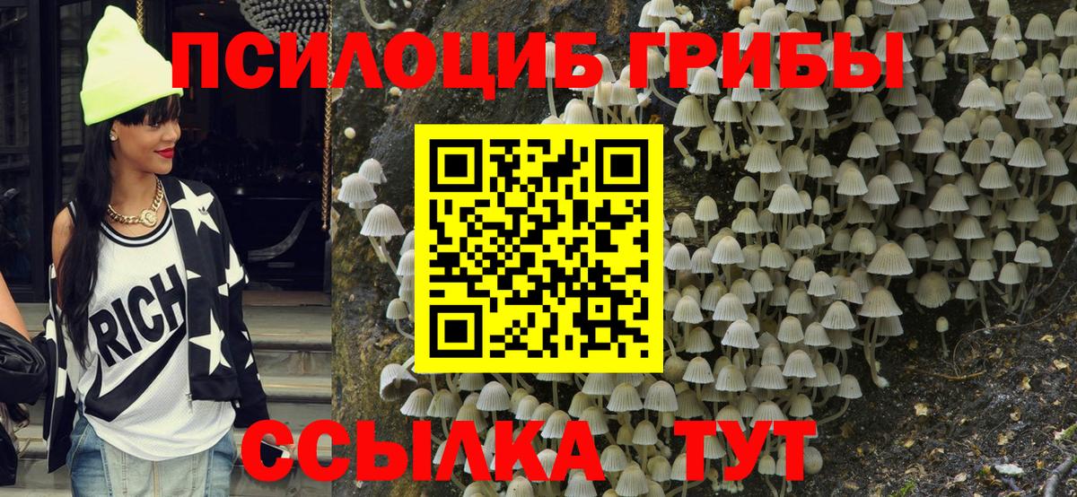 Галлюциногенные грибы MAGIC MUSHROOMS  Вход с VPN  Псилоцибиновые грибы мухоморы  Сергиев Посад 